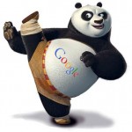 google-panda-kick