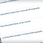 related-2-post-thumbnails related-2-post-thumbnails
