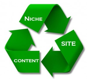 small-niche-website