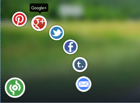 animated social sharing widgets