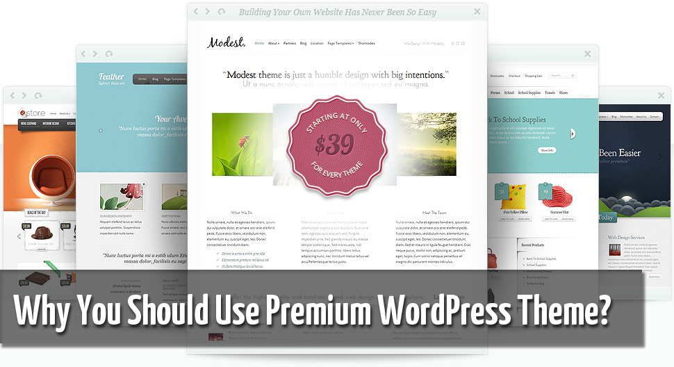 use premium wordpress theme