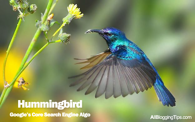 Google Hummingbird