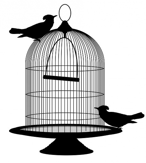 birdcage