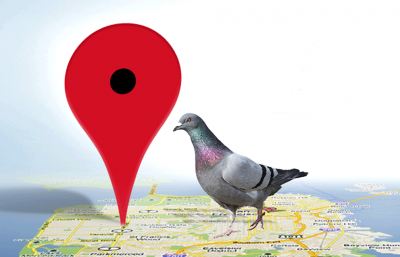 Google-Pigeon-Update-400x257.png